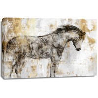 PI Studio - Equestrian 