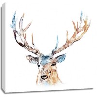 Edward Selkirk - Watercolour Reindeer 