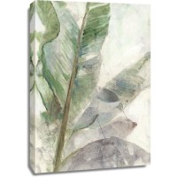 Matina Theodosiou - Tropic Plant