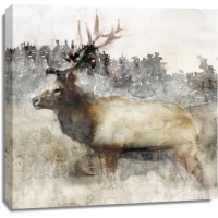 Stellar Design Studio - Mountain Elk II