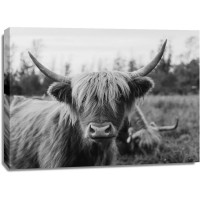 Chelsea Kedron - Cattle Smile 