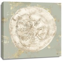 Aimee Wilson - Cone Shells I