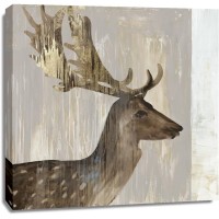 Aimee Wilson - Stag III