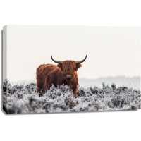 Van Den - Highlander