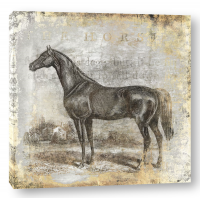 Christine Zalewski - Gold Stallion I