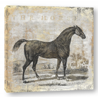 Christine Zalewski - Gold Stallion II 