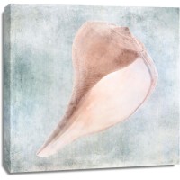 Christine Zalewski - Blue Cream Sea Shell 