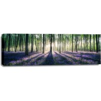 Romeo Delogu - Lavender Field Forest Sunset