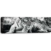 Tiger - Watch - Turquoise Eyes