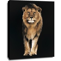 Lion - Out of the Dark