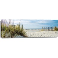 Luis Bond - Path to the Beach - Dunes and Sea Oats