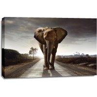 Elephant - Walking a lonely Road