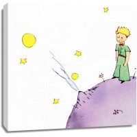 Antoine De Saint-Exupery - Petit Prince III
