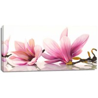 Cynthia Ann - Magnolia