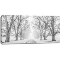 Pangea Images - Tree lined road in the snow