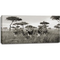 Pangea Images - Brothers- Masai Mara- Kenya (detail)