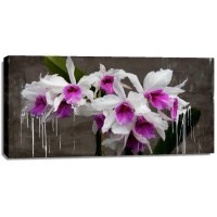 Alex Vinci - Orchid blackboard