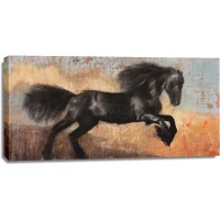 Dario Moschetta - Black Stallion