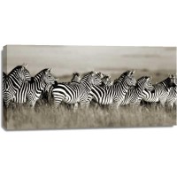 Frank Krahmer - Grants zebra, Masai Mara, Kenya