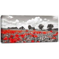 Frank Krahmer - Poppies and vicias in meadow, Mecklenburg Lake District, Germany
