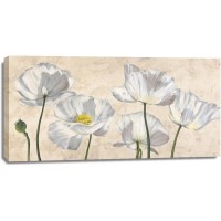 Villa Luca - Poppies in White