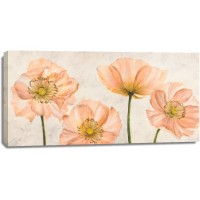 Villa Luca - Poppies in Pink