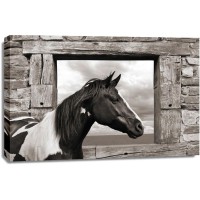 Julian Lauren - Painted Horse (BW)
