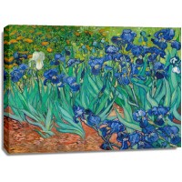 Vincent Van Gogh - Irises