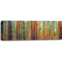Pangea Images - Colors of the Woods