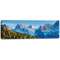 Frank Krahmer - Larch forest and Cima bel Pra, Italy