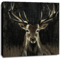 Liz Jardine - Young Buck 