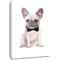 Amanda Greenwood - Frenchie II