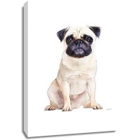 Amanda Greenwood - Pug