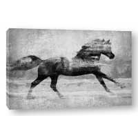 Madeline Blake - Running Horse Silver
