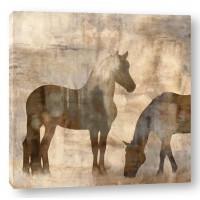 Jason Mann - Equine II
