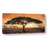 Madou - Memories of Masai Mara