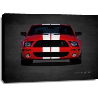 Mark Rogan - Ford Shelby GT500