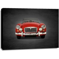 Mark Rogan - MG A 1500 1955