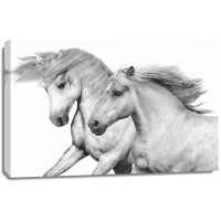 Samantha Carter - Duo I