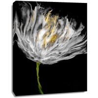 Vanessa Austin - Tulips on Black I
