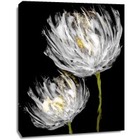 Vanessa Austin - Tulips on Black II