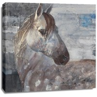 Albena Hristova - Appaloosa 