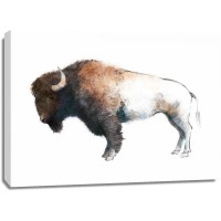 Avery Tillmon - Colorful Bison Dark Brown
