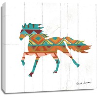 Farida Zaman - Southwestern Vibes IV