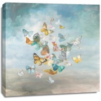 Danhui Nai - Beautiful Butterflies