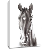 Aimee Del Valle - Le Cheval Noir