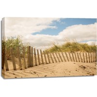 Pela Studio - Beach Dunes I
