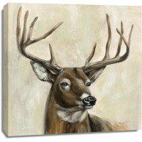 Silvia Vassileva - Bronze Deer