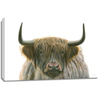 James Wiens - Highlander