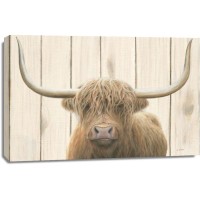 Jamew Wiens - Highland Cow and The Barn